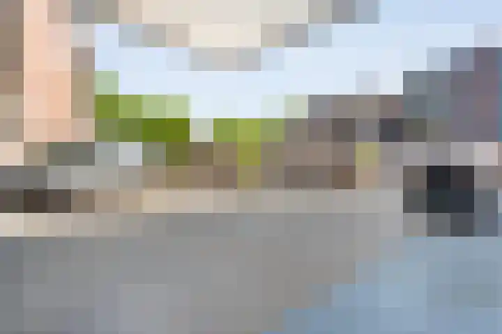 De Mulderij 218 Hardenberg thumbnail 4