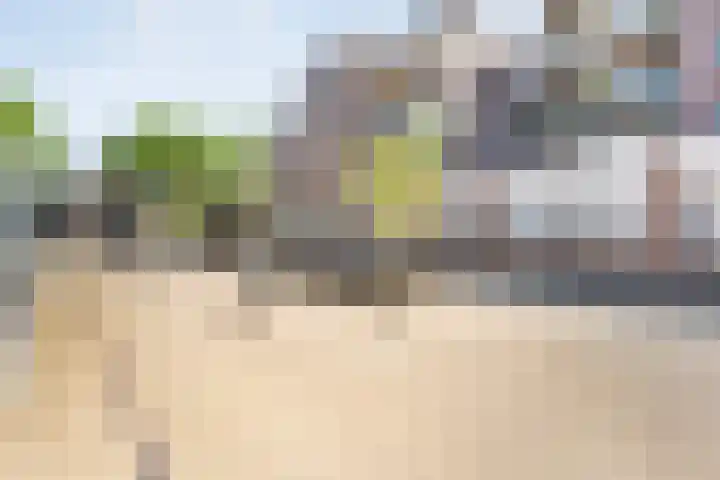 De Mulderij 218 Hardenberg thumbnail 5