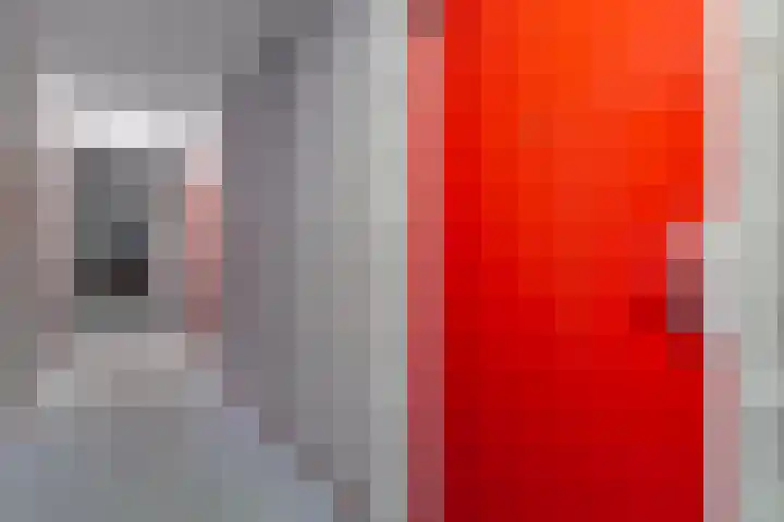 De Mulderij 218 Hardenberg thumbnail 9