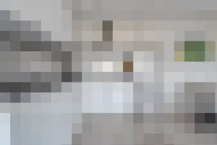 De Mulderij 238 Hardenberg thumbnail 11