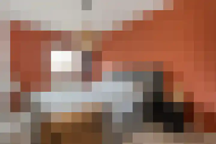 De Mulderij 238 Hardenberg thumbnail 12