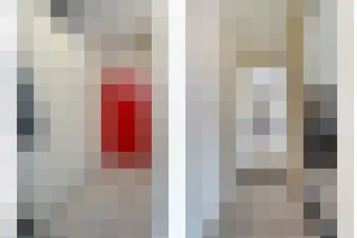 De Mulderij 238 Hardenberg thumbnail 18