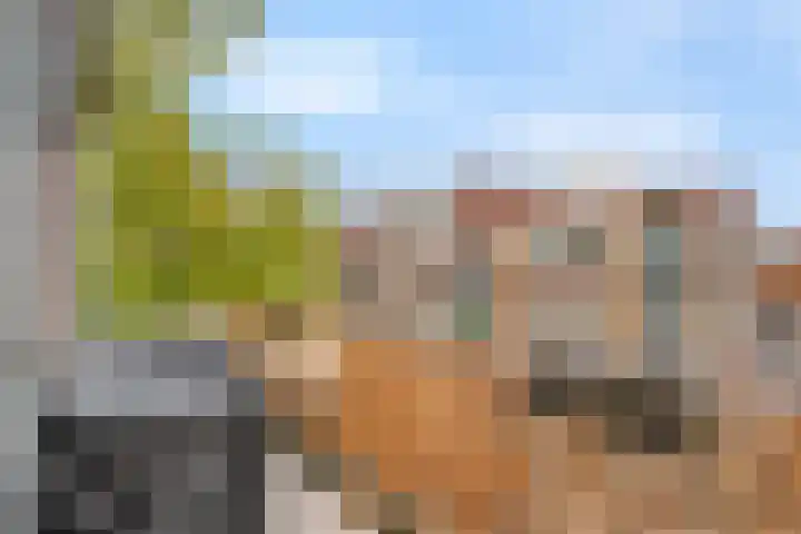 De Mulderij 238 Hardenberg thumbnail 19