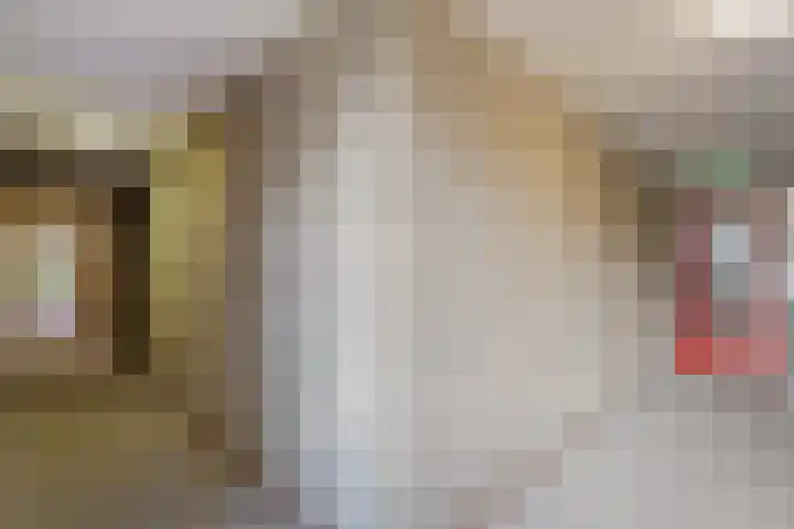 De Mulderij 238 Hardenberg thumbnail 21
