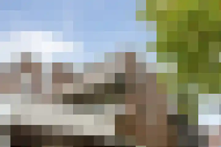 De Mulderij 238 Hardenberg thumbnail 23
