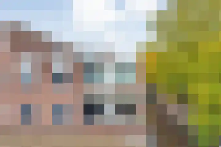 De Mulderij 238 Hardenberg thumbnail 26