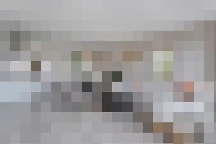De Mulderij 238 Hardenberg thumbnail 6