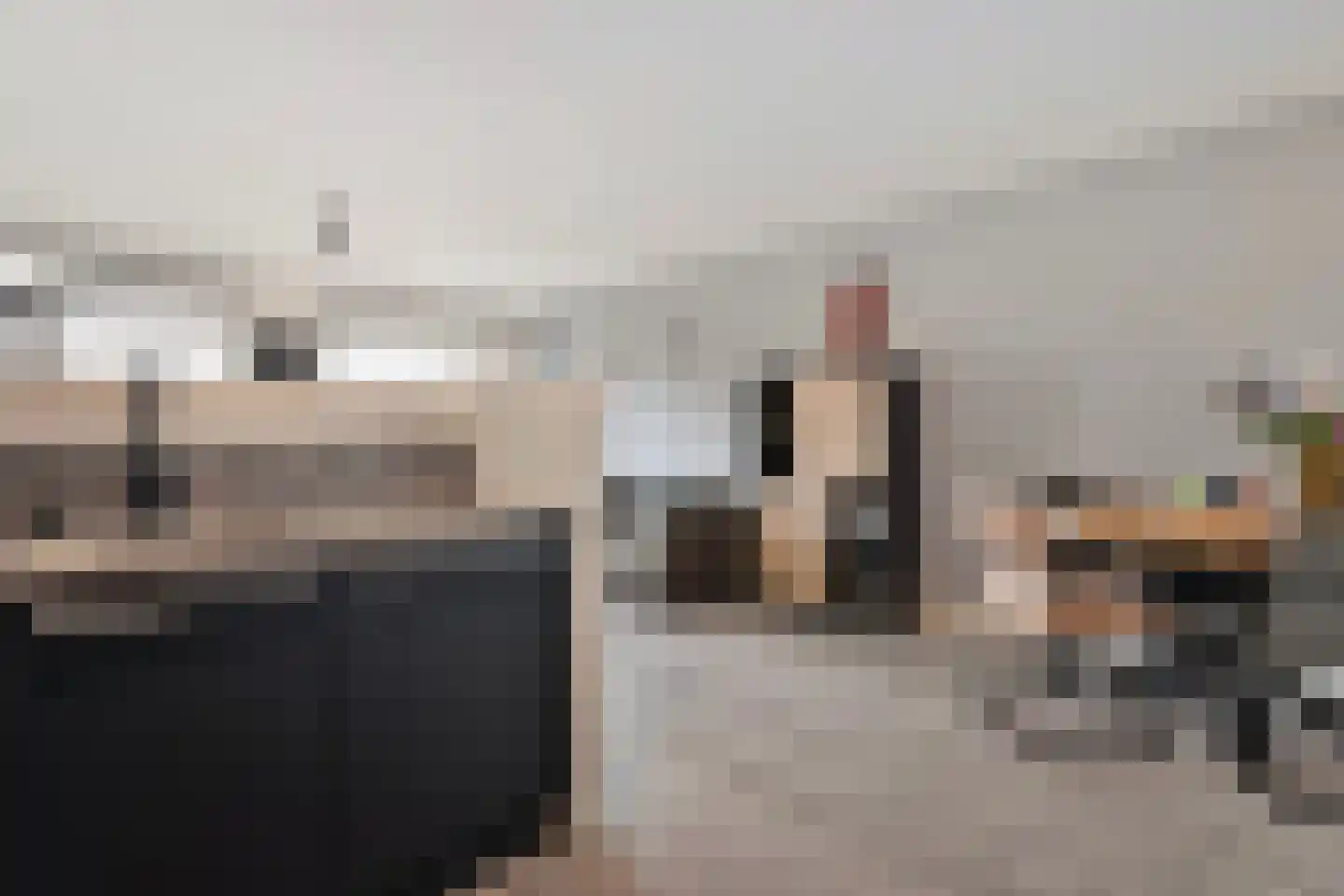 De Mulderij 313 Hardenberg thumbnail 17