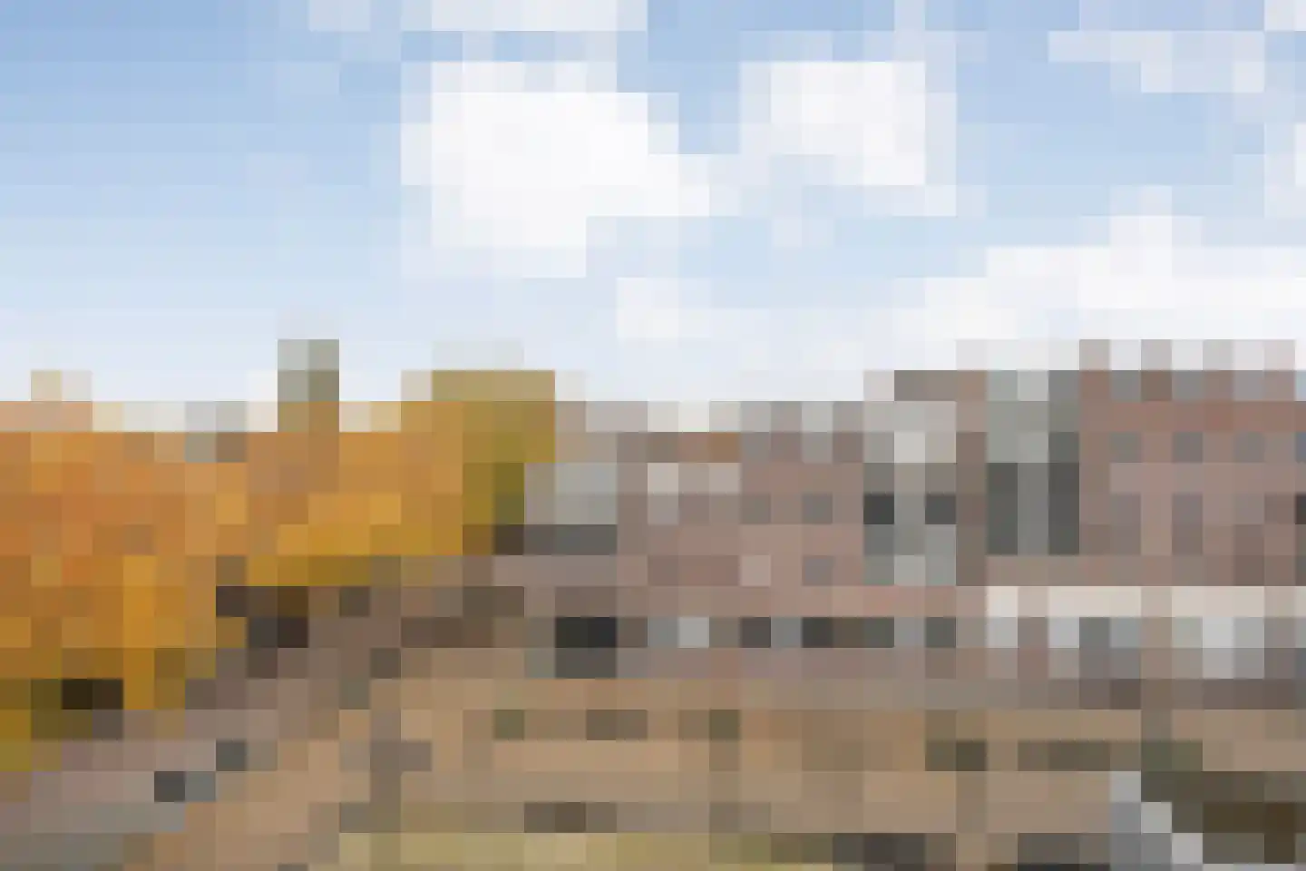 De Mulderij 313 Hardenberg thumbnail 26