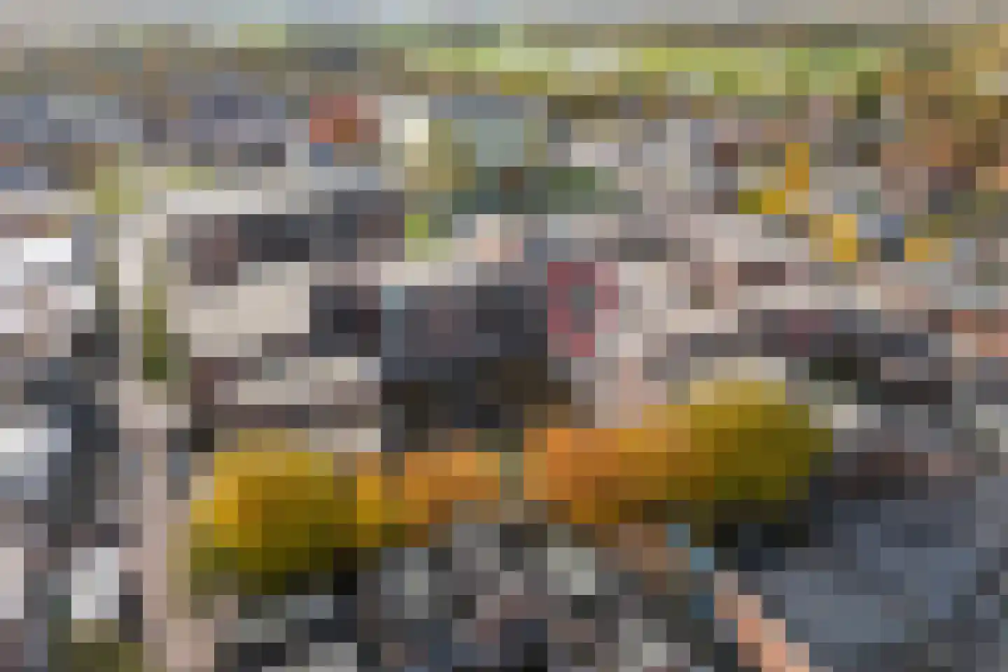De Mulderij 313 Hardenberg thumbnail 6