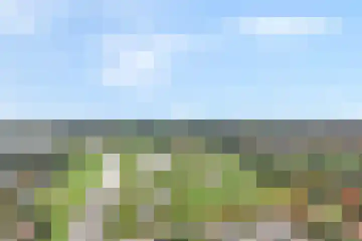 De Mulderij 406 Hardenberg thumbnail 27