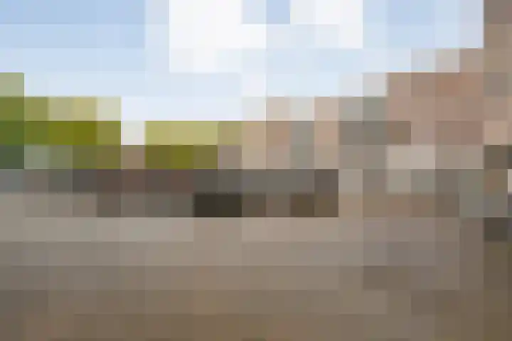 De Mulderij 406 Hardenberg thumbnail 29