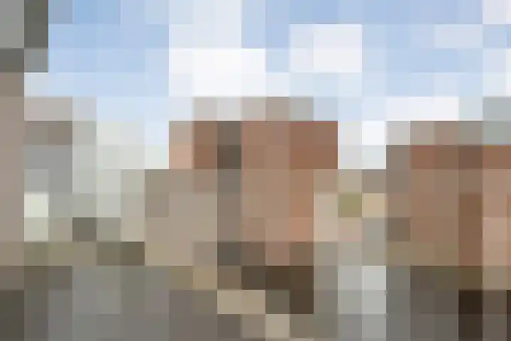 De Mulderij 414 Hardenberg thumbnail 20