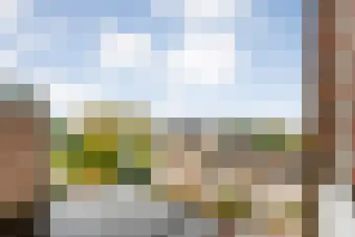 De Mulderij 414 Hardenberg thumbnail 23