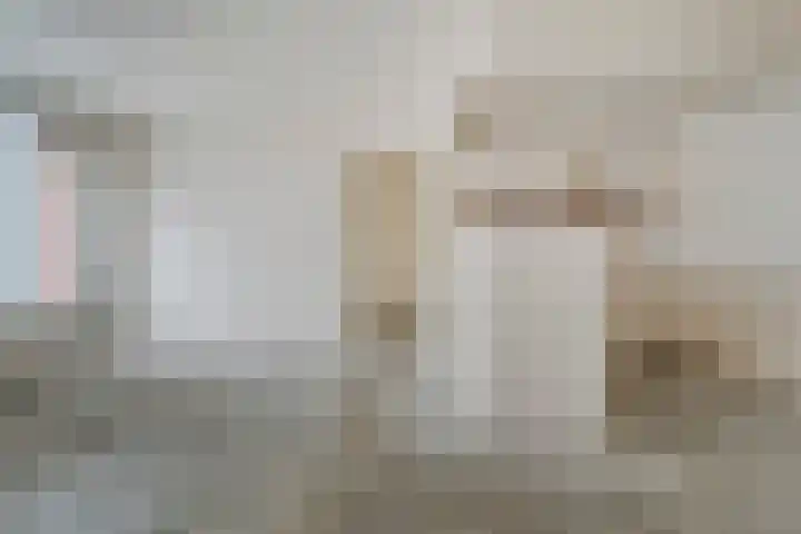 De Mulderij 414 Hardenberg thumbnail 8