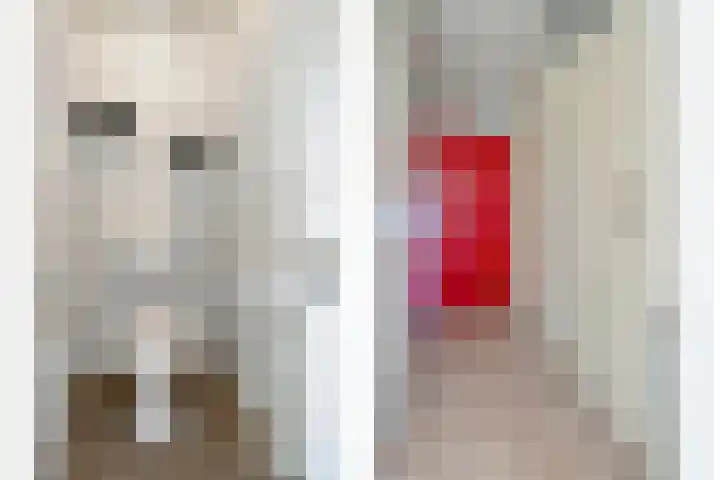 De Mulderij 420 Hardenberg thumbnail 11
