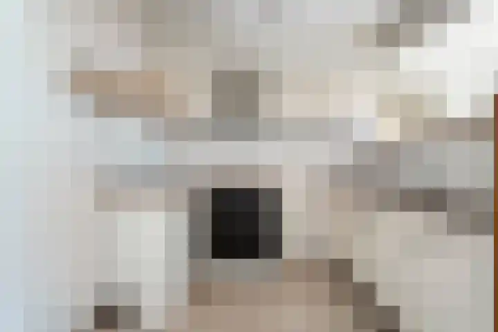 De Mulderij 420 Hardenberg thumbnail 17
