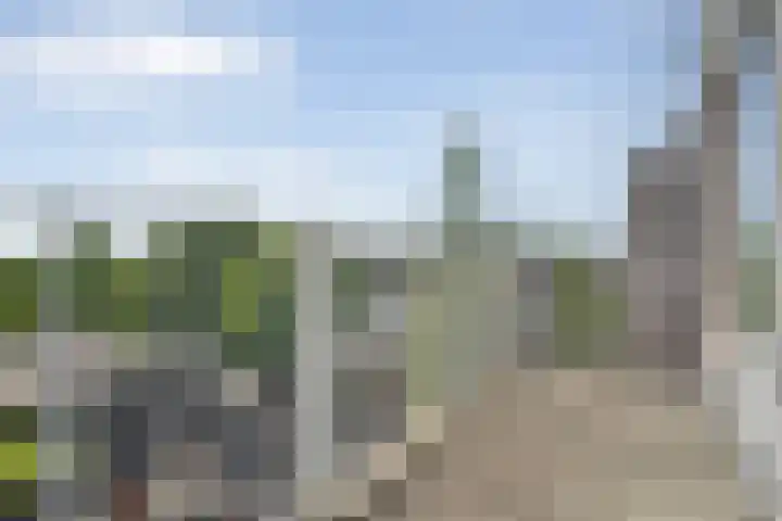 De Mulderij 420 Hardenberg thumbnail 25