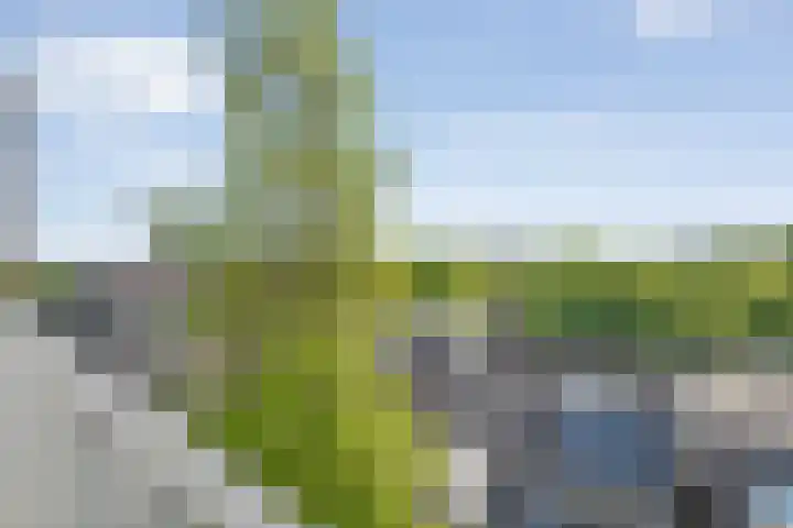 De Mulderij 420 Hardenberg thumbnail 27