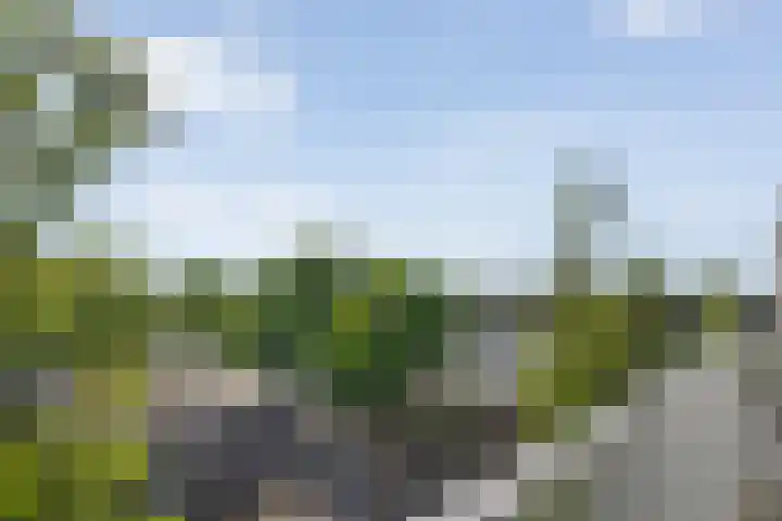 De Mulderij 420 Hardenberg thumbnail 28