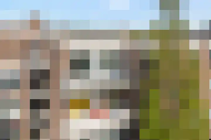 De Mulderij 420 Hardenberg thumbnail 4