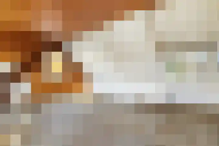 De Mulderij 5 Leusden thumbnail 11