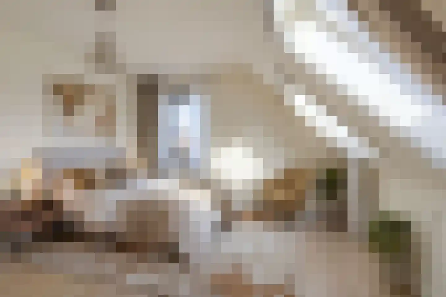 De Mulderij 5 Leusden thumbnail 21
