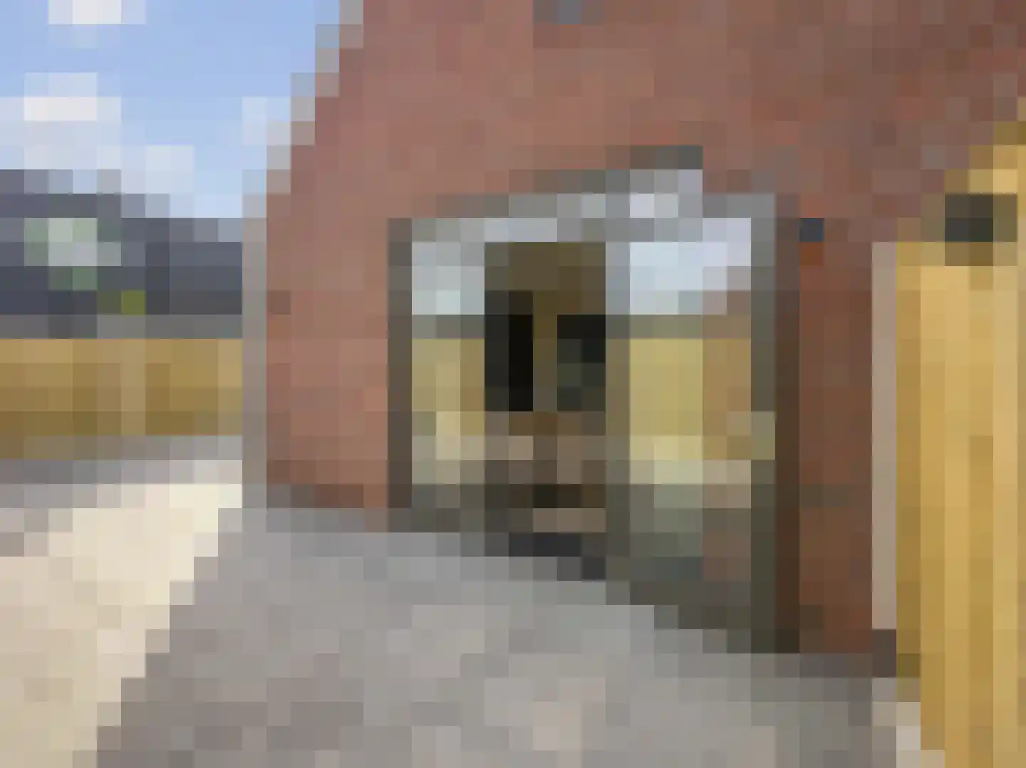 De Mulderij 5 Leusden thumbnail 27