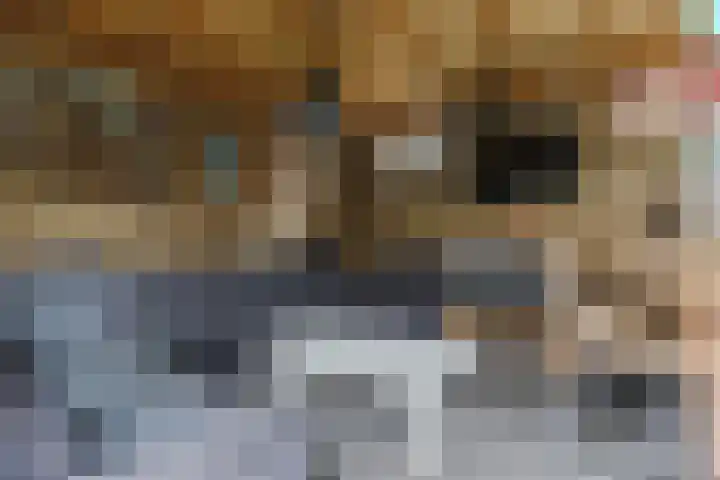 De Mulderij 5 Leusden thumbnail 28