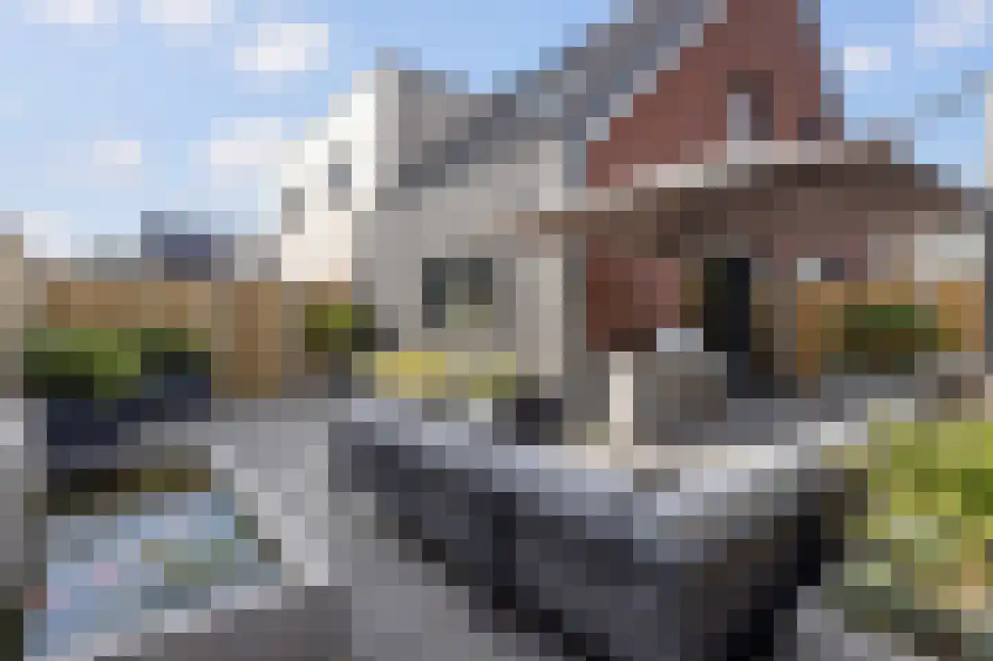 De Mulderij 5 Leusden thumbnail 29