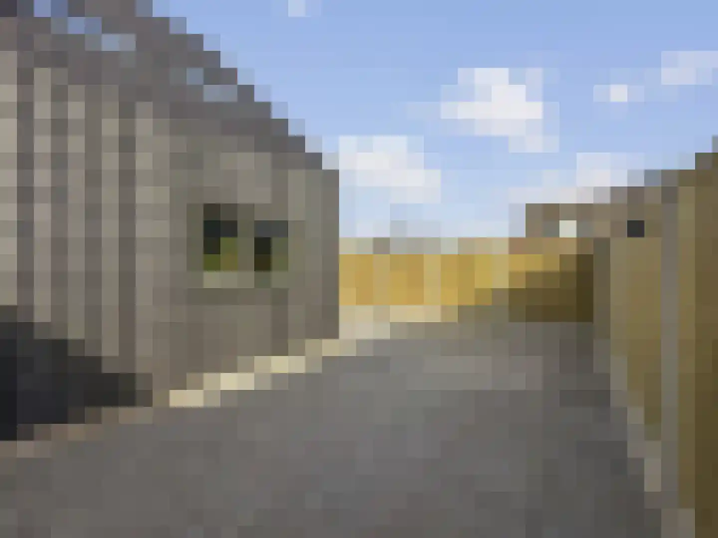 De Mulderij 5 Leusden thumbnail 31