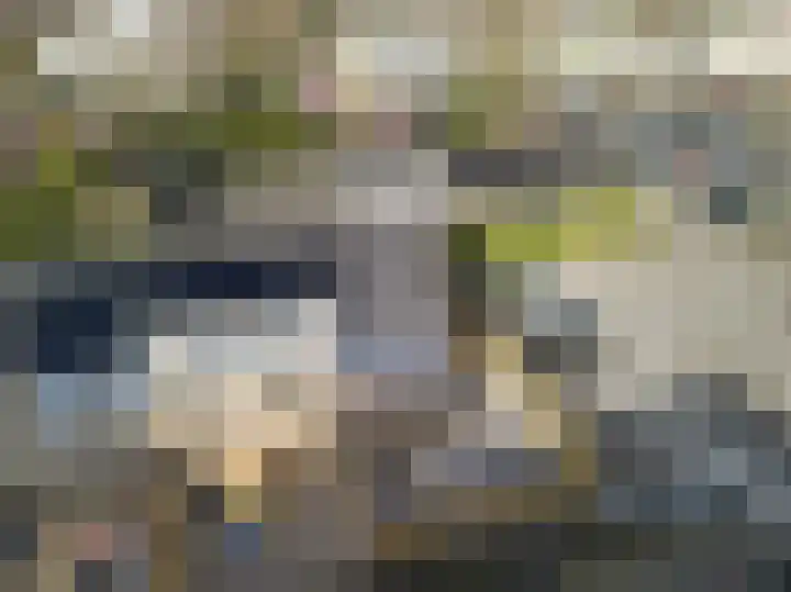De Mulderij 5 Leusden thumbnail 33