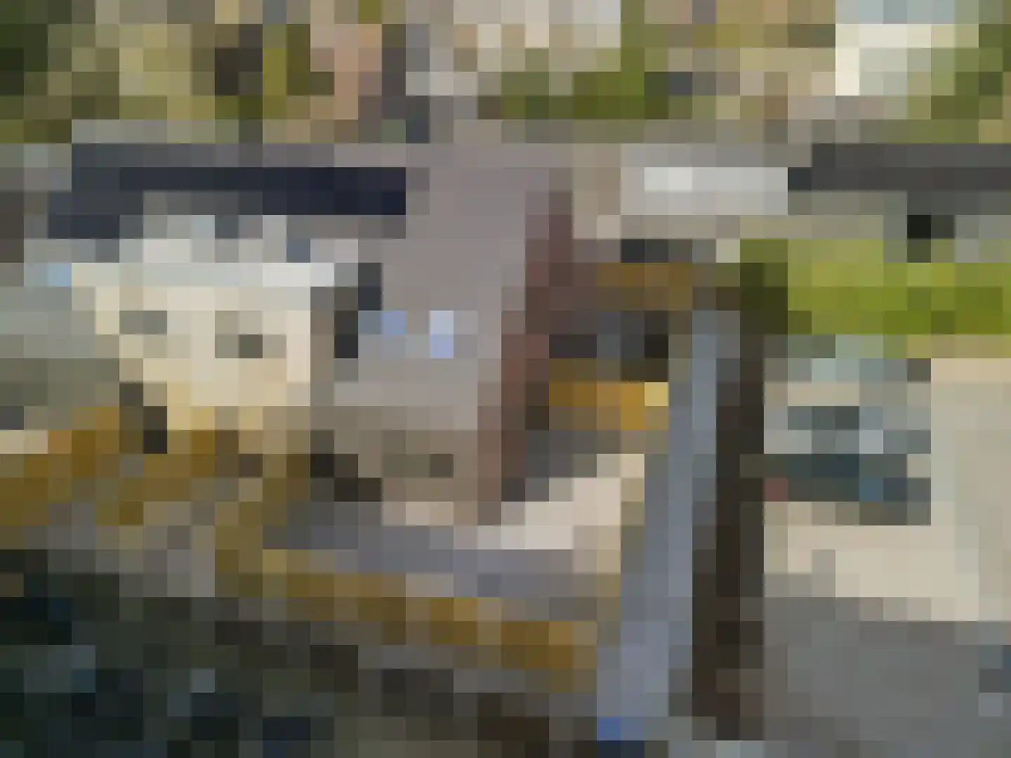 De Mulderij 5 Leusden thumbnail 39