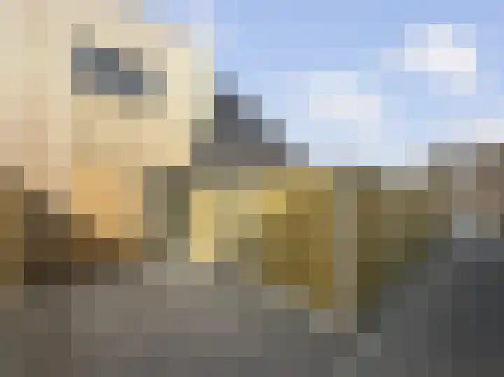 De Mulderij 5 Leusden thumbnail 5