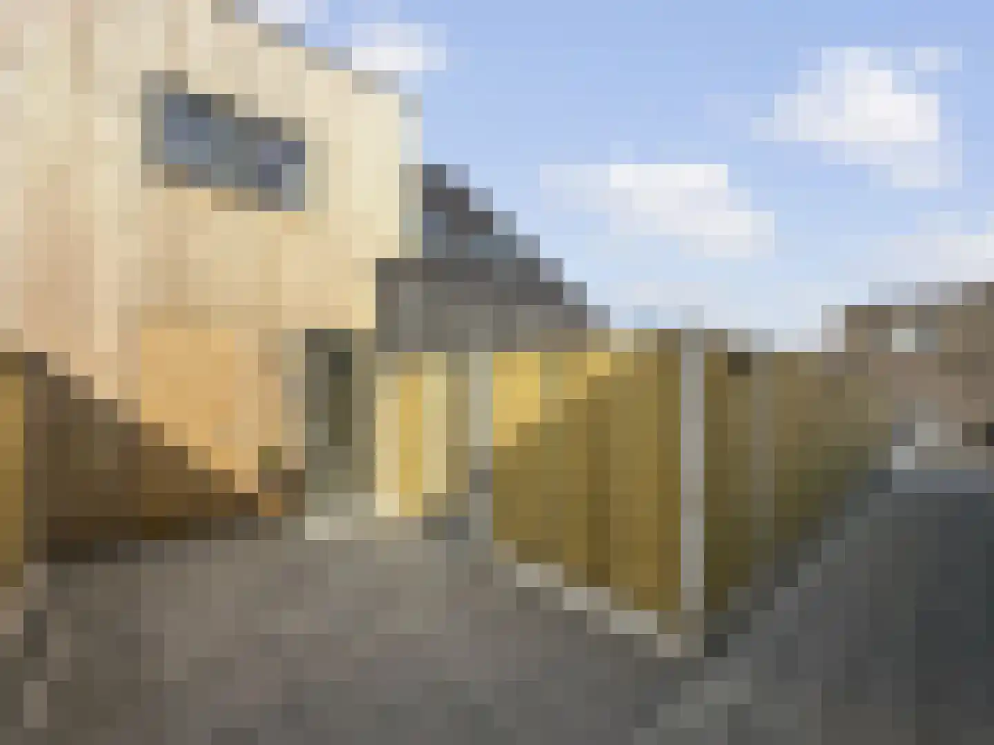 De Mulderij 5 Leusden thumbnail 5