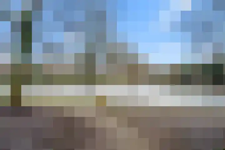 De Mulderij 5 Leusden thumbnail 9