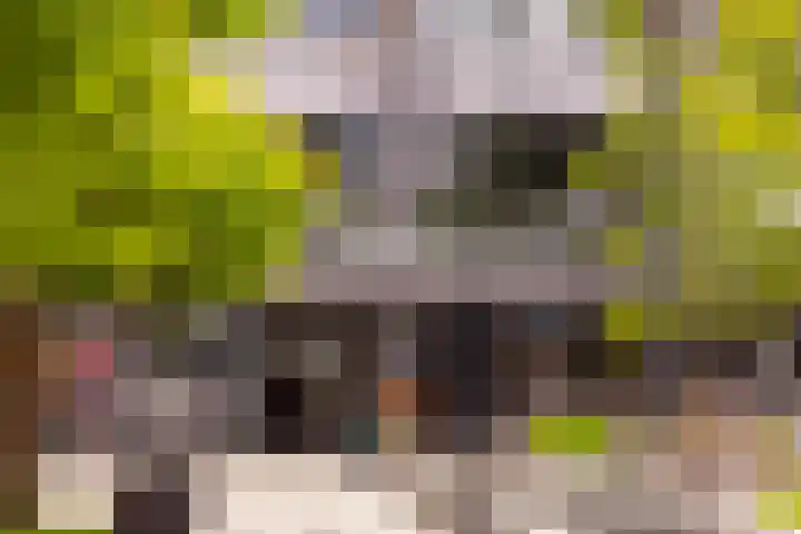 De Mulderij 9 Leusden thumbnail 18