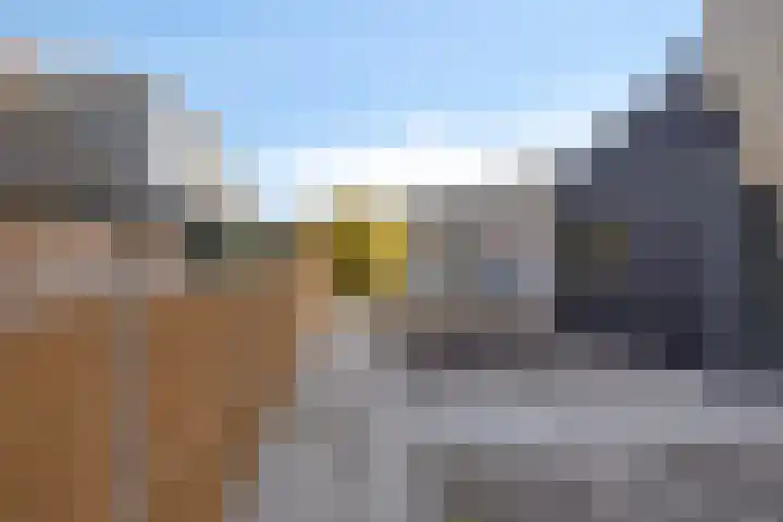 De Mulderij 9 Leusden thumbnail 5