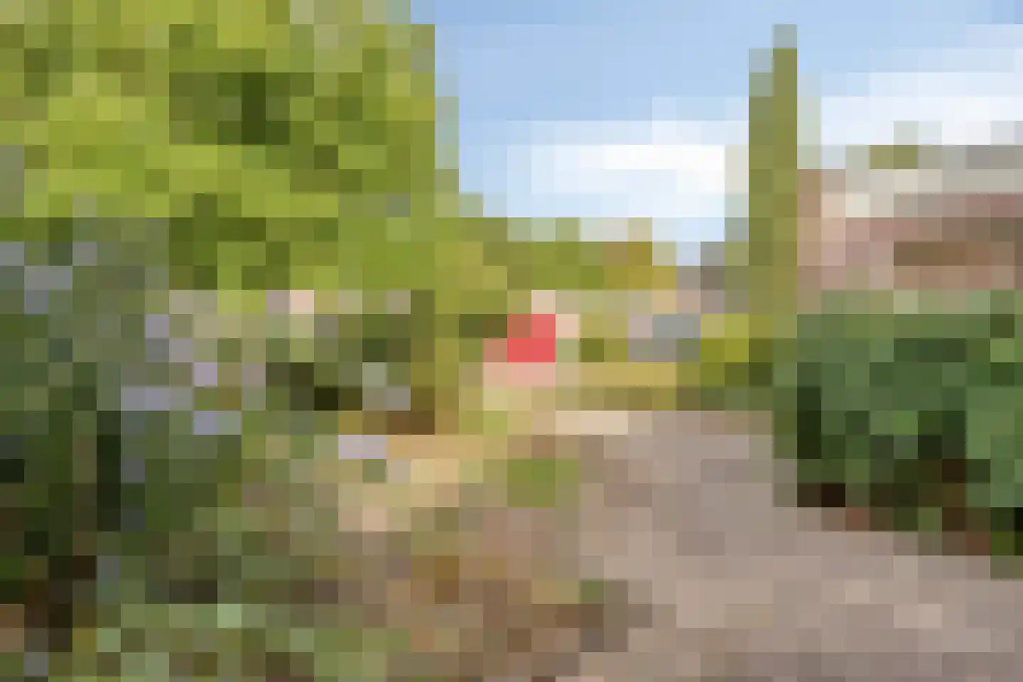 De Muldershof 15 Hummelo thumbnail 23