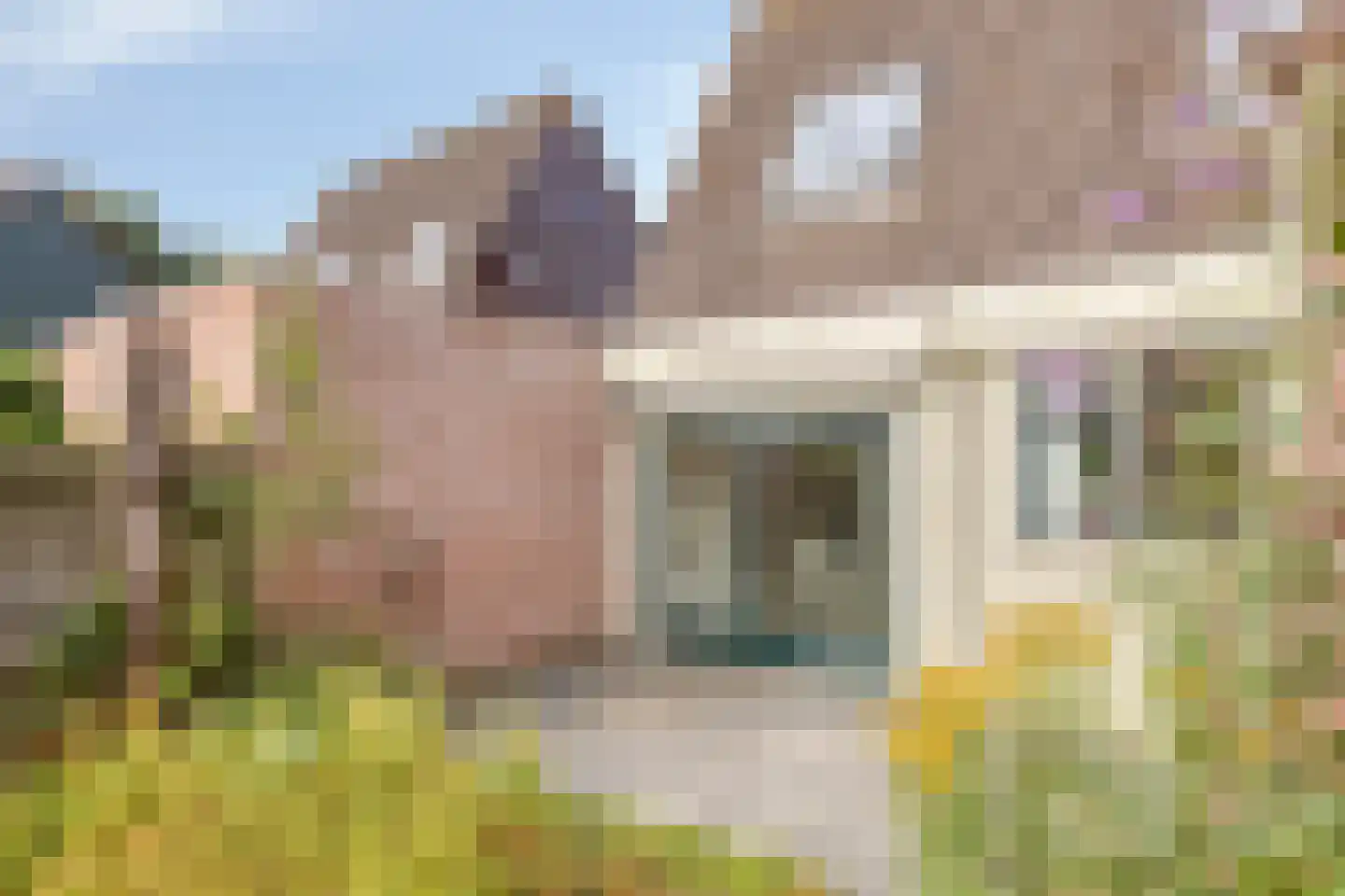 De Muldershof 15 Hummelo thumbnail 24