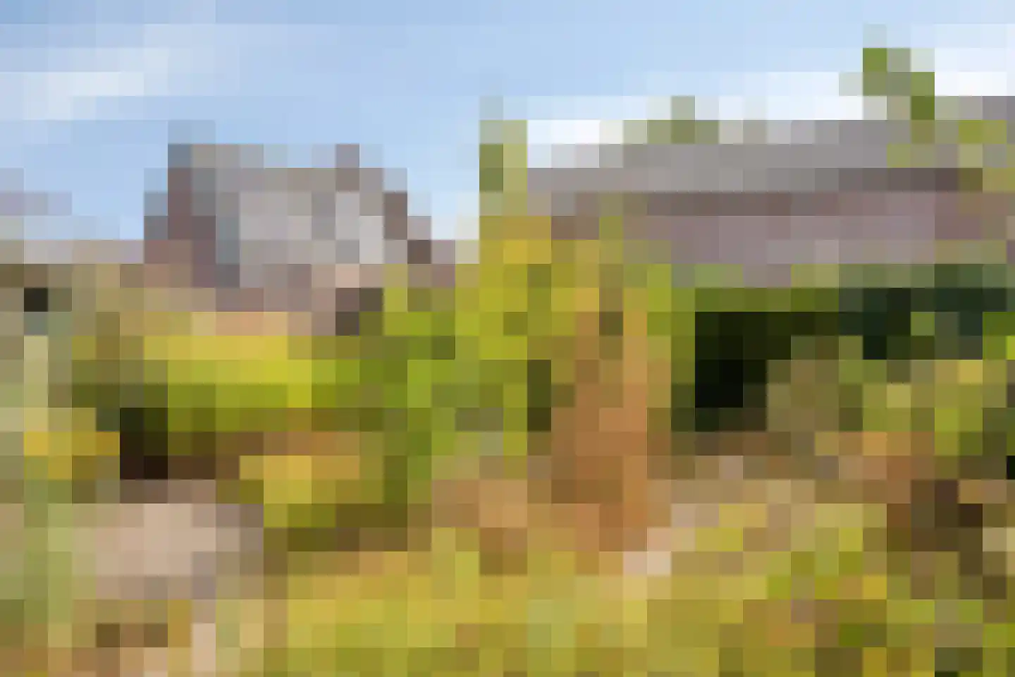 De Muldershof 15 Hummelo thumbnail 27