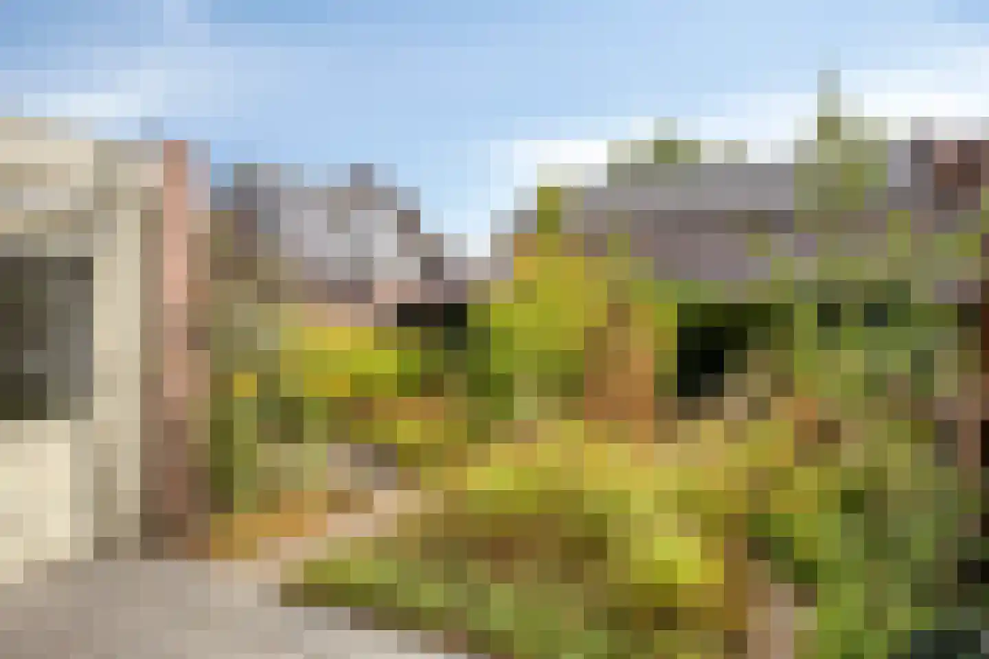 De Muldershof 15 Hummelo thumbnail 28