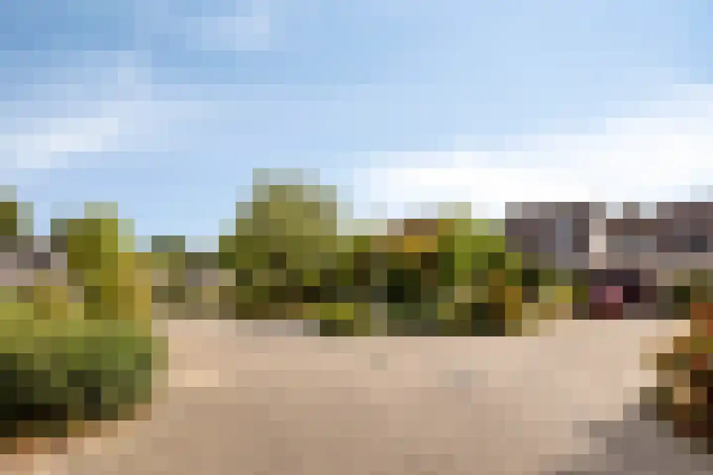 De Muldershof 15 Hummelo thumbnail 31