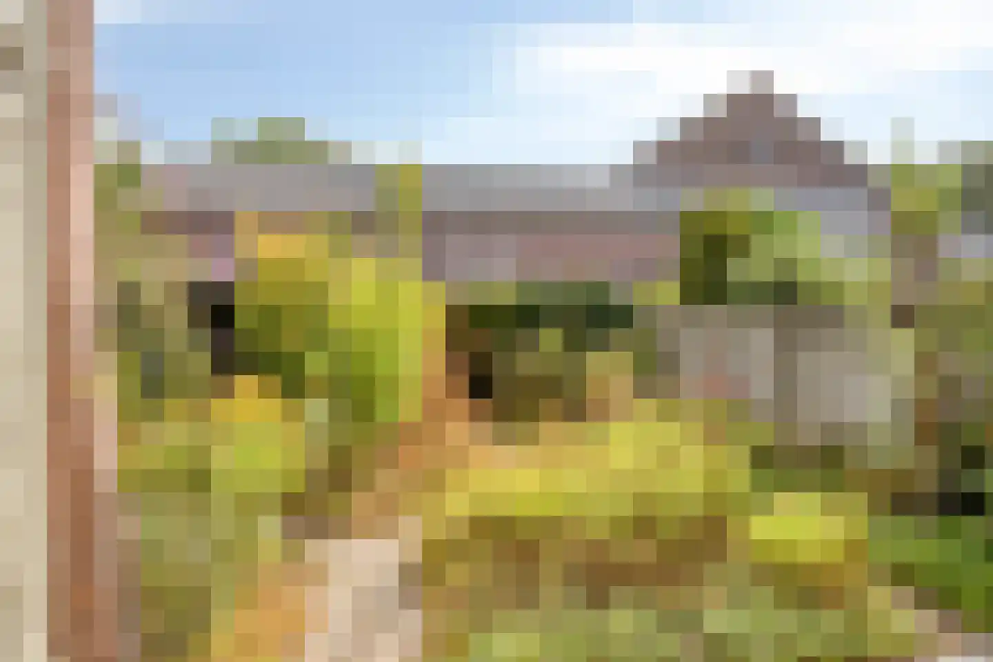 De Muldershof 15 Hummelo thumbnail 4