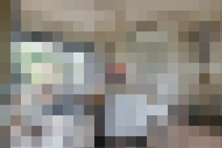 De Muldershof 19 Hummelo thumbnail 18
