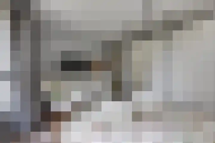 De Muldershof 19 Hummelo thumbnail 33