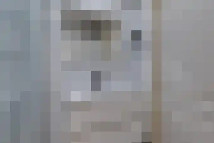 De Muldershof 19 Hummelo thumbnail 37