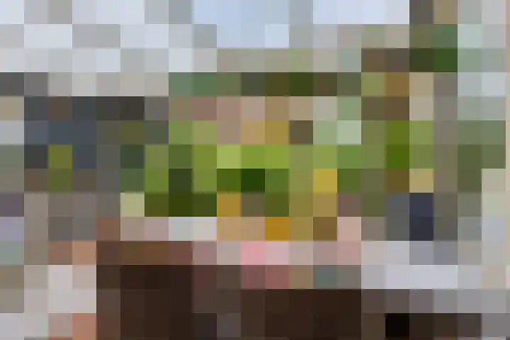 De Muldershof 19 Hummelo thumbnail 39