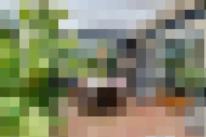 De Muldershof 19 Hummelo thumbnail 41