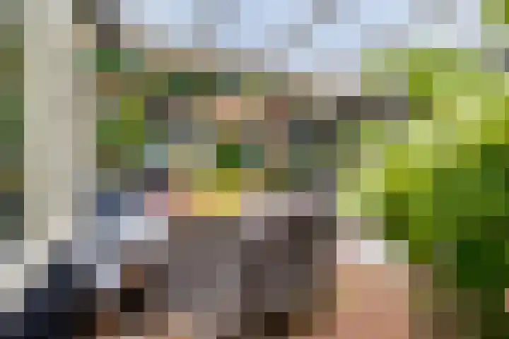 De Muldershof 19 Hummelo thumbnail 42